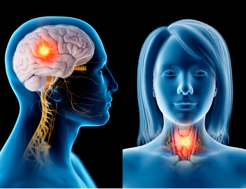 hpv associated head and neck cancers